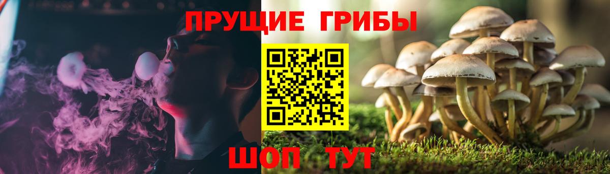 Галлюциногенные грибы MAGIC MUSHROOMS Михайловск